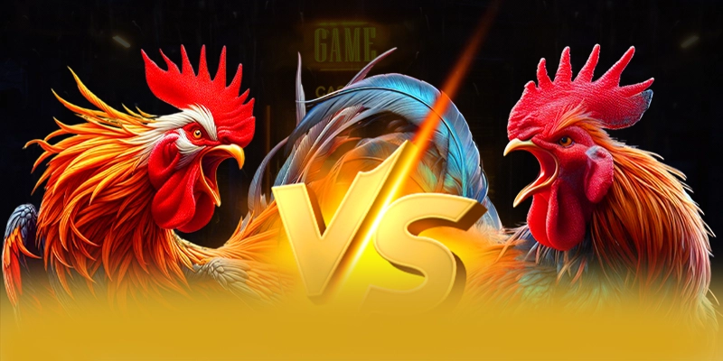 Điểm khác biệt của BET168 so với các nhà cái khác