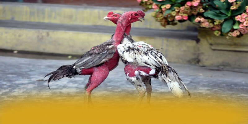 Quy trình nạp rút tiền nhanh chóng và an toàn tại [THUONG_HIEU]