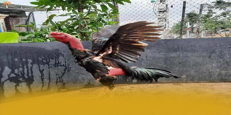 An toàn thông tin người dùng tại BET168