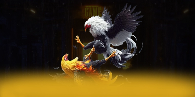 W88 - Sảnh game sở hữu kho game phong phú tại Việt Nam