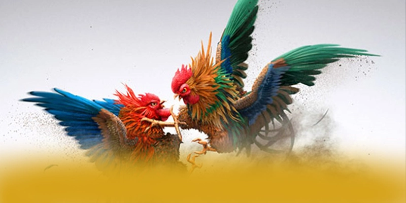Đánh giá từ game thủ về SUNWIN